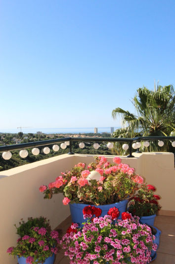 Image No.28-Penthouse de 3 chambres à vendre à Elviria