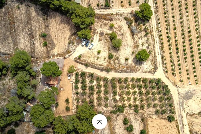 Image No.23-1 Bed Finca for sale