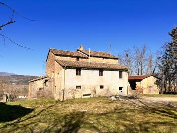 4--C296-external-view6