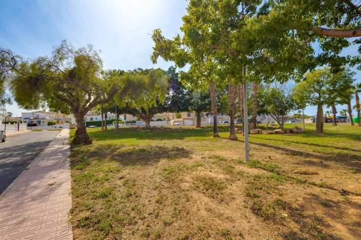 Image No.39-Maison de 2 chambres à vendre à Torrevieja