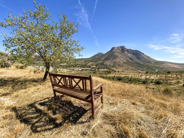vh2838-country-house-for-sale-in-velez-rubio-