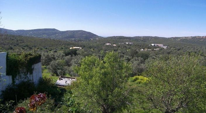 Image No.8-Plot for sale