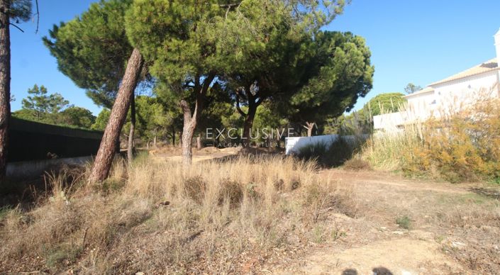 Image No.2-Plot for sale
