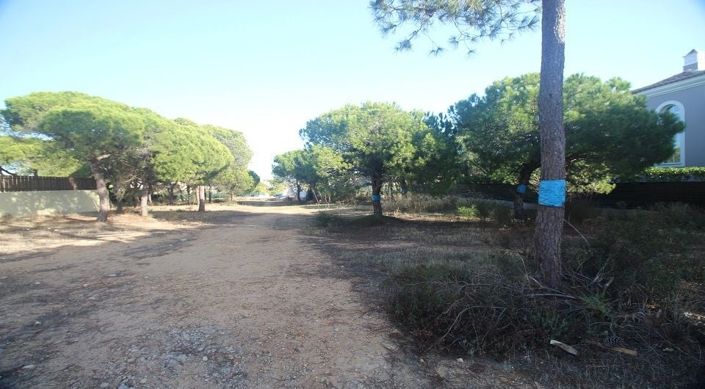 Image No.5-Plot for sale