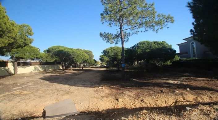 Image No.8-Plot for sale