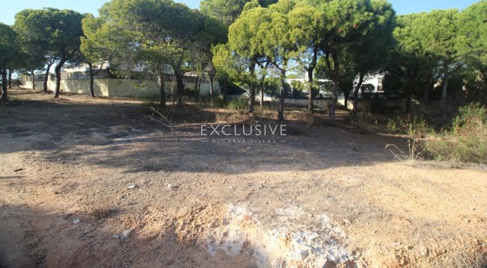 Image No.2-Plot for sale