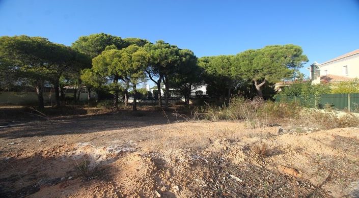 Image No.4-Plot for sale