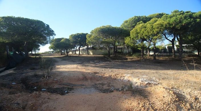 Image No.5-Plot for sale