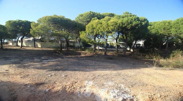 Image No.6-Plot for sale