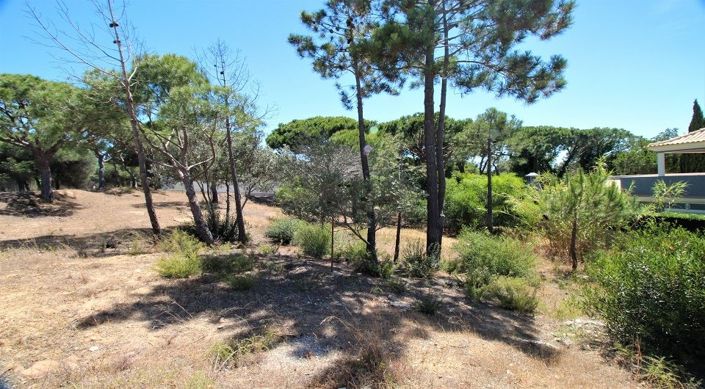 Image No.8-Plot for sale