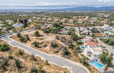 1 - Lagoa, Plot
