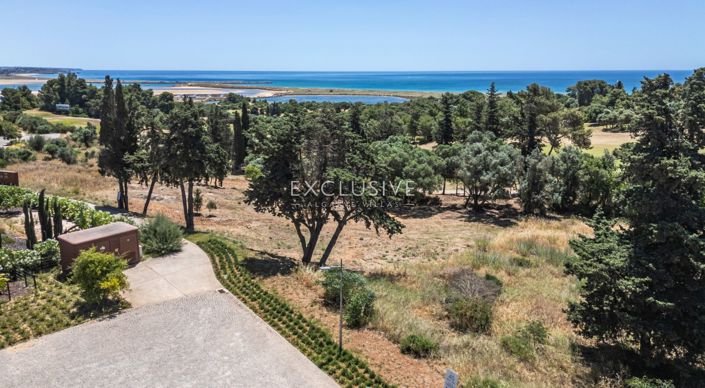 Image No.2-Plot for sale