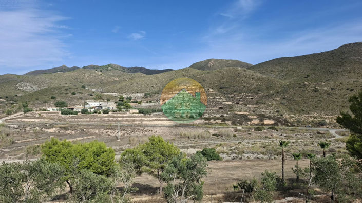 Image No.4-3 Bed Finca for sale