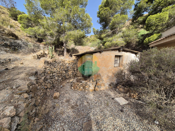 Image No.16-Finca con 4 dormitorios en venta