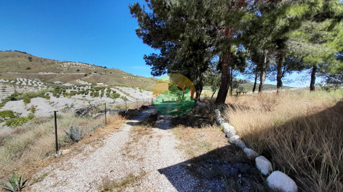 Image No.8-4 Bed Finca for sale