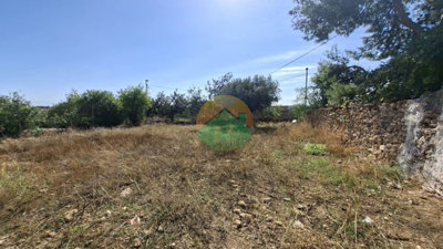 almagros02-6ace42ae7a9ac