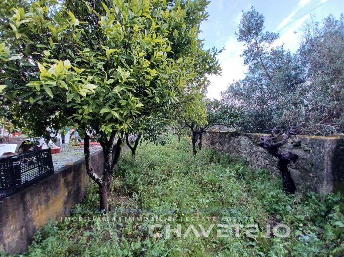 Image No.26-3 Bed House for sale