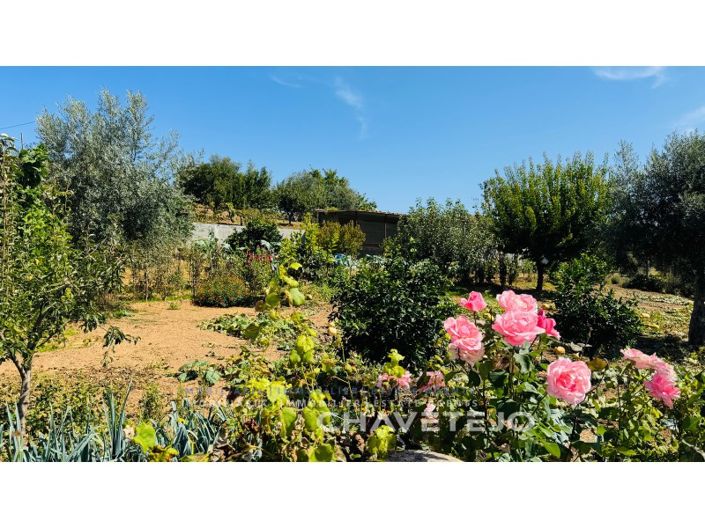Image No.20-5 Bed Farmhouse for sale
