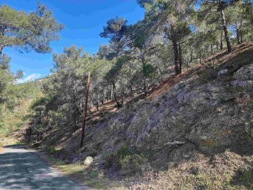 1 - Moniatis, Terre