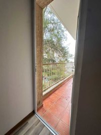 15254267195