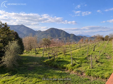 ChatGPT Image 15 set 2026, 09_38_31