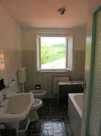 7815