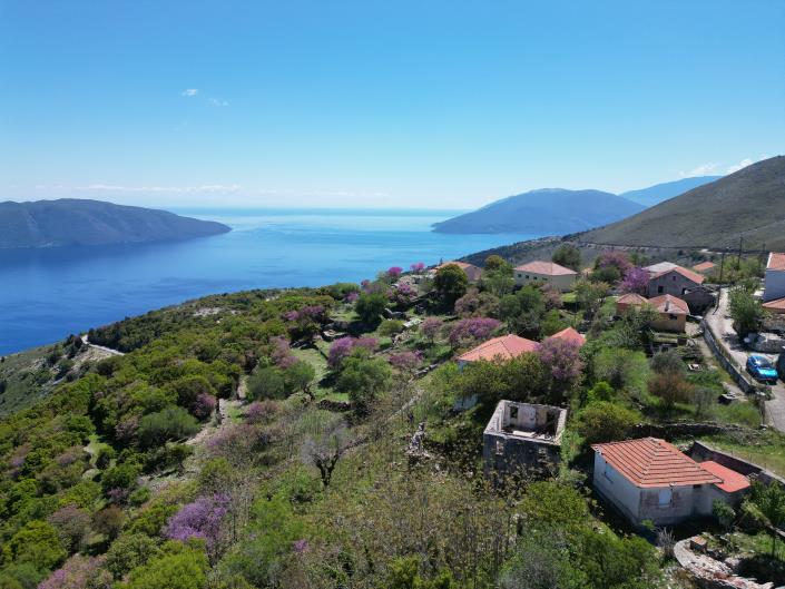 Image No.5-House for sale