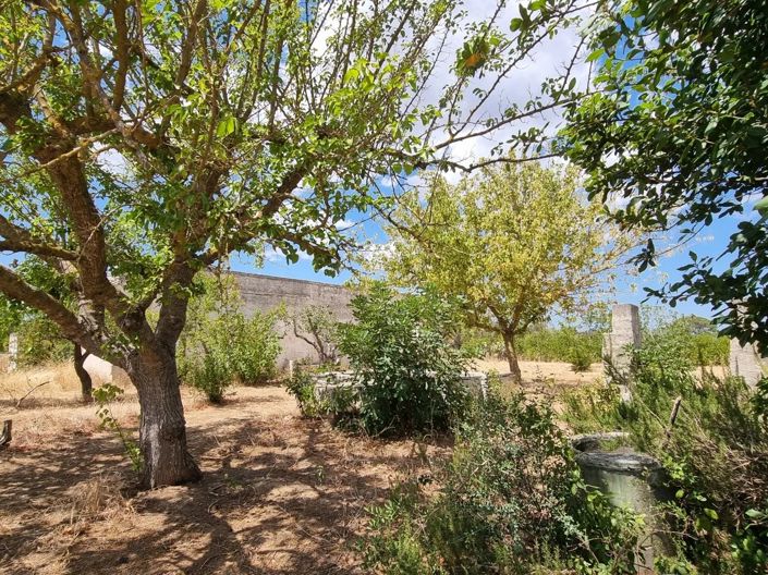 Image No.15-4 Bed Cottage for sale