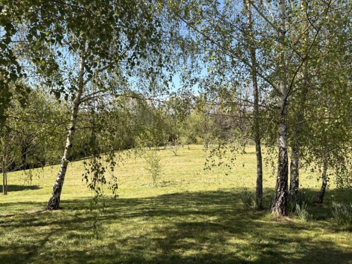 Image No.25-8 Bed Country Property for sale