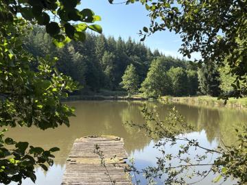 6630_immo_berthou_bussiere_galant_etang_terrain--8-