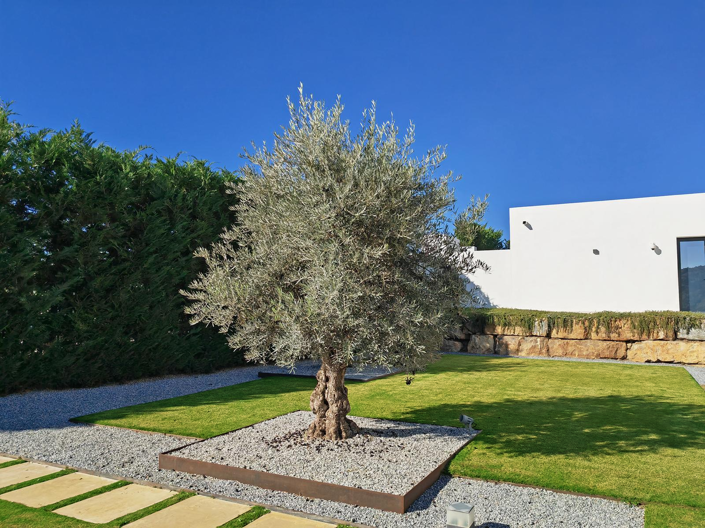 Image No.36-5 Bed Villa for sale