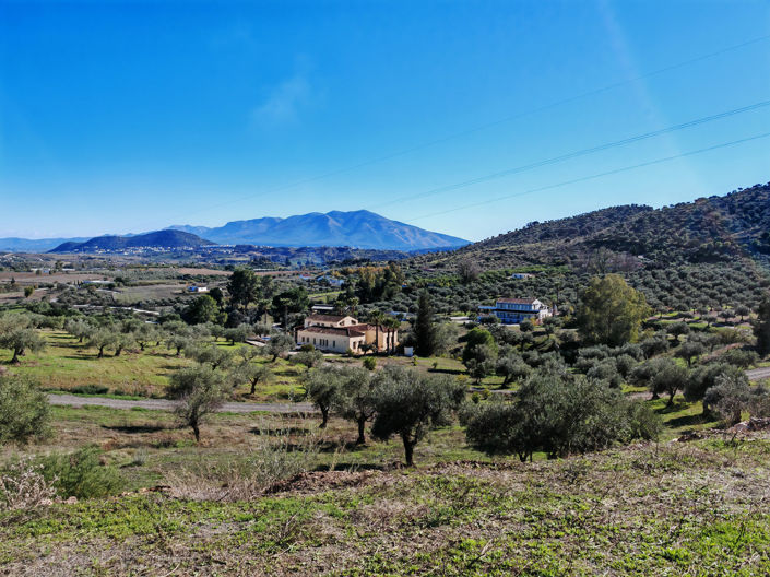 Image No.36-12 Bed Finca for sale