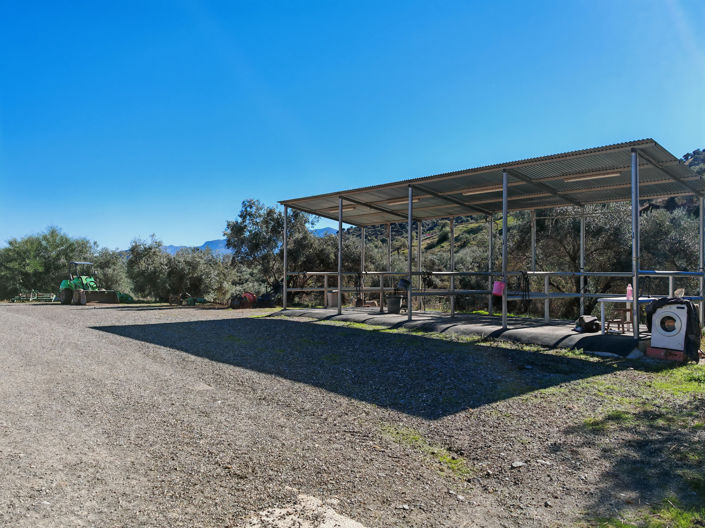 Image No.6-12 Bed Finca for sale