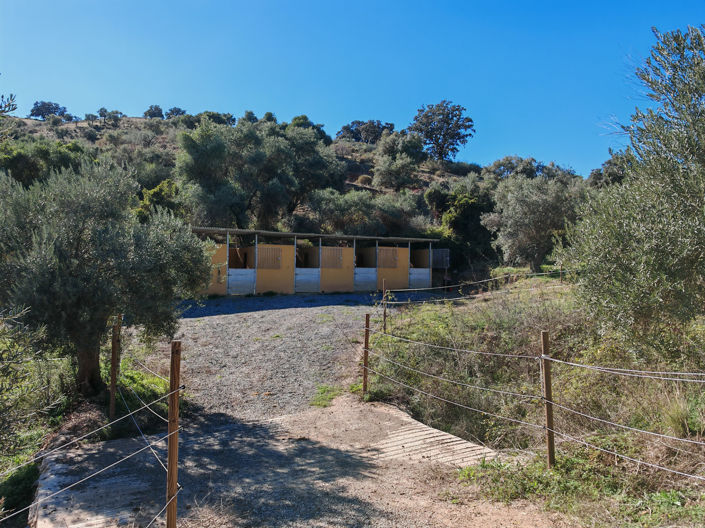 Image No.7-12 Bed Finca for sale