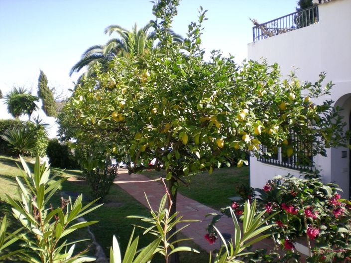 Image No.6-4 Bed Townhouse for sale