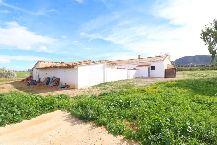 Image No.43-3 Bed Country House for sale