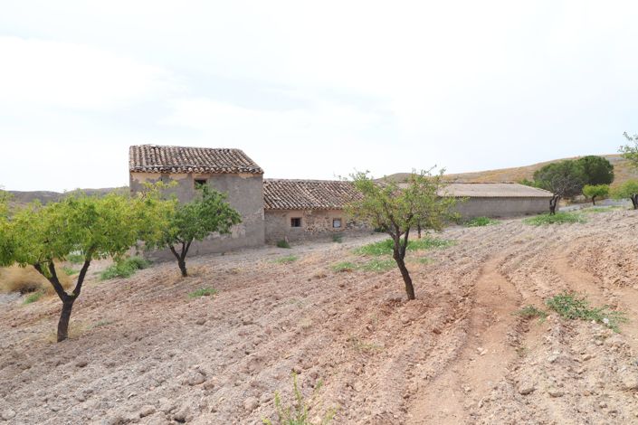 Image No.24-Finca con 5 dormitorios en venta