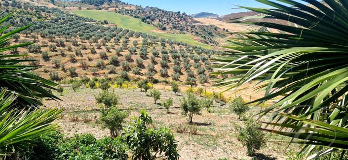 Image No.22-Propriété de 4 chambres à vendre à Villanueva de la Concepción