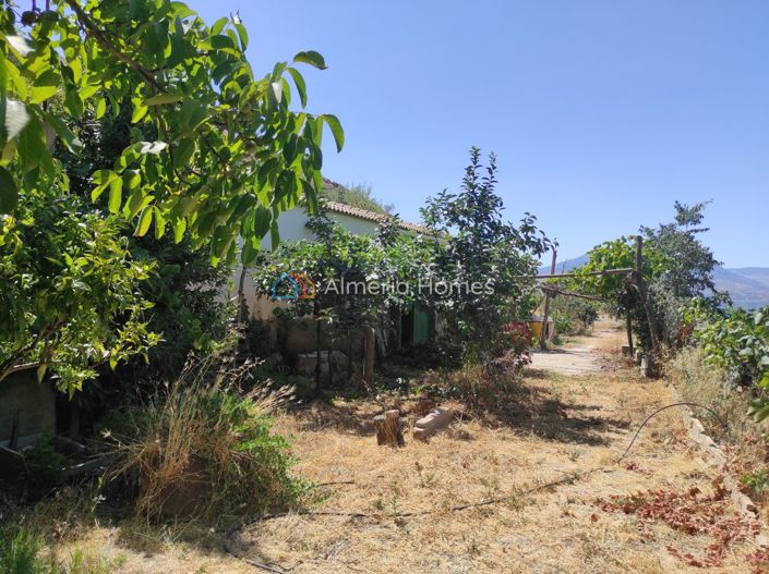 Image No.20-1 Bed Country House for sale