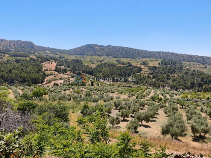 Image No.22-3 Bed Village House for sale