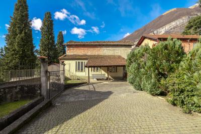 Tremezzo--IMG_9089