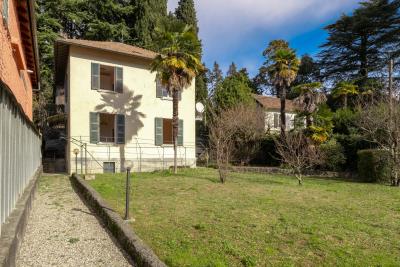 Tremezzo--IMG_9090