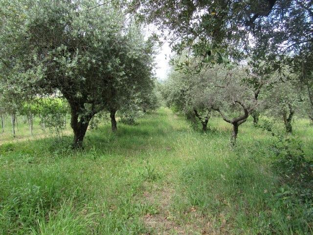 Image No.22-2 Bed Country House for sale