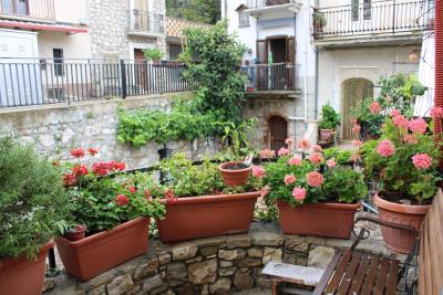 n3235-photo-d