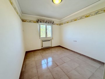 ncbl84098515567