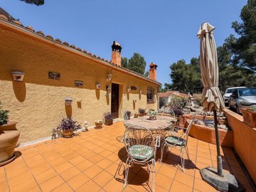 ncbx84648538776