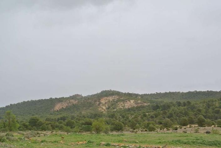Image No.16-Land for sale