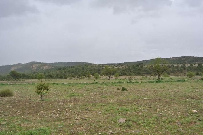 Image No.5-Land for sale