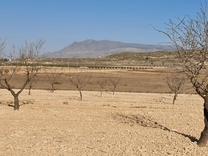 Image No.2-Land for sale