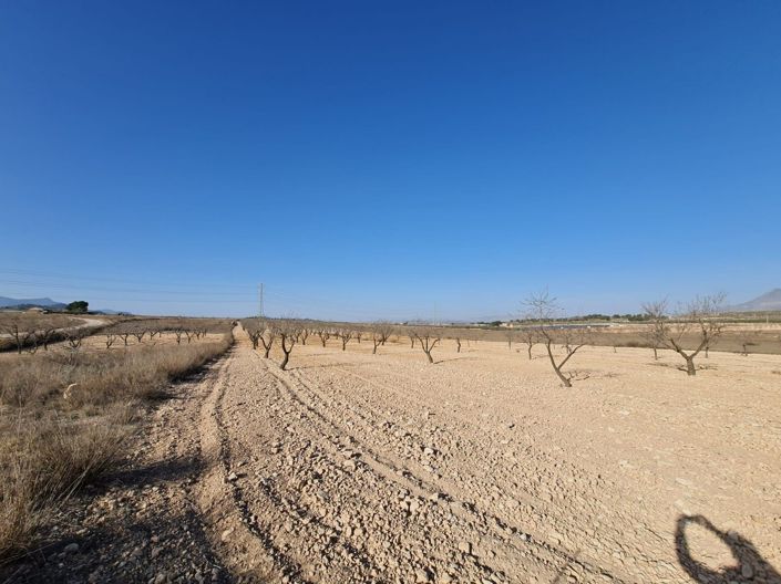 Image No.5-Land for sale